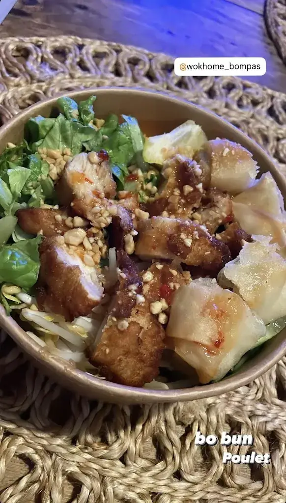 Stéphanie Fontaine_Wok Home_Bompas_review