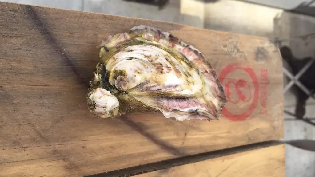 l’Arseillère_Bouzigues_slider_image_3