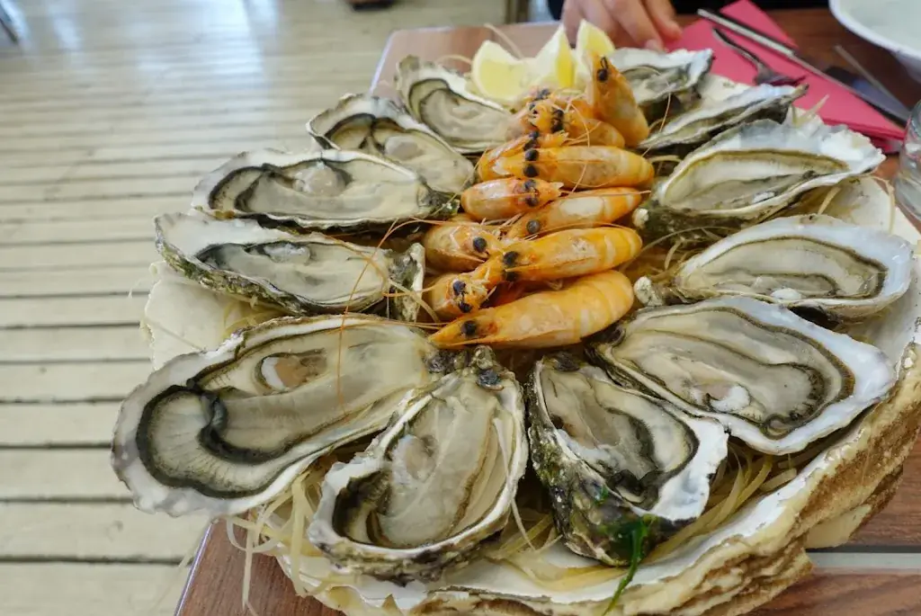 Maria Grip_Les Jardins d'Oc_Bouzigues_review