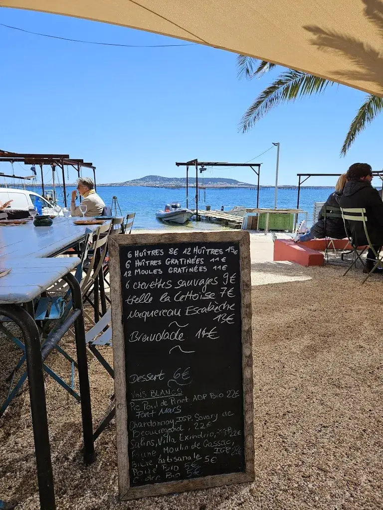 Reuben Cook_Les Demoiselles Dupuy_Bouzigues_review