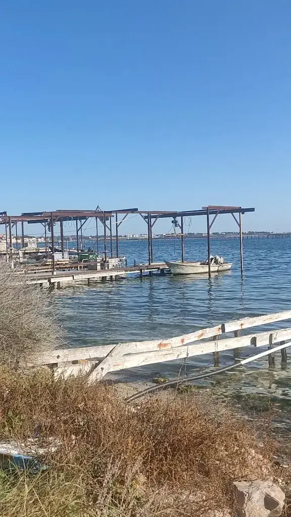 Le Cercle des Huîtres_Bouzigues_slider_image_2