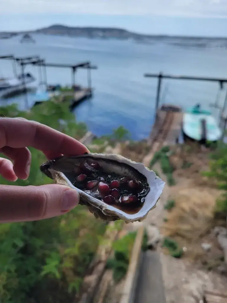 ed3lf Paris_Chez Petit Pierre_Bouzigues_review