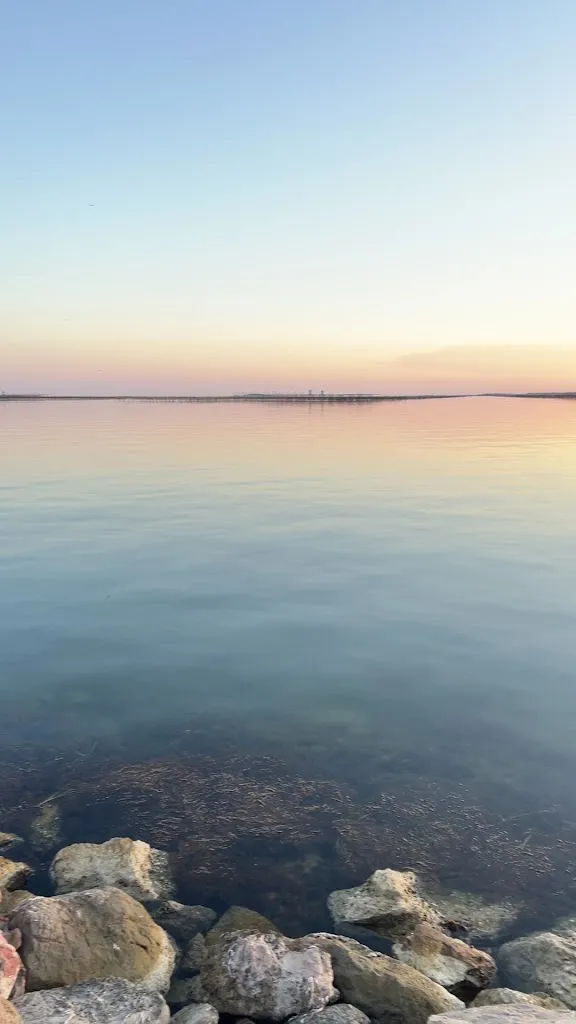 Nora Naatz_La Côte Bleue_Bouzigues_review