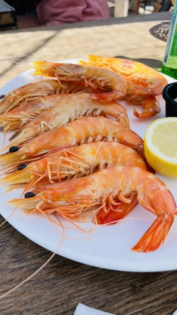 Ariel TAIEB_L'ambre de Thau_Bouzigues_review