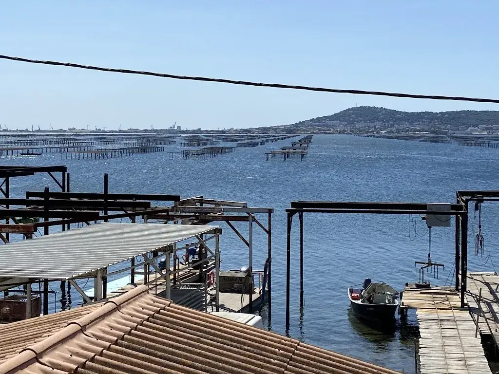 Robert Lawrence_Le chalet Mas Millereau_Bouzigues_review