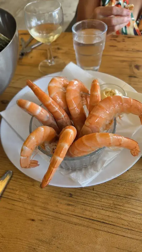 Daryl Cross_Le mazet de thau_Loupian_recensione