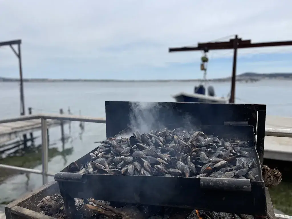 F LASSALLE L_Le mazet de thau_Loupian_recensione