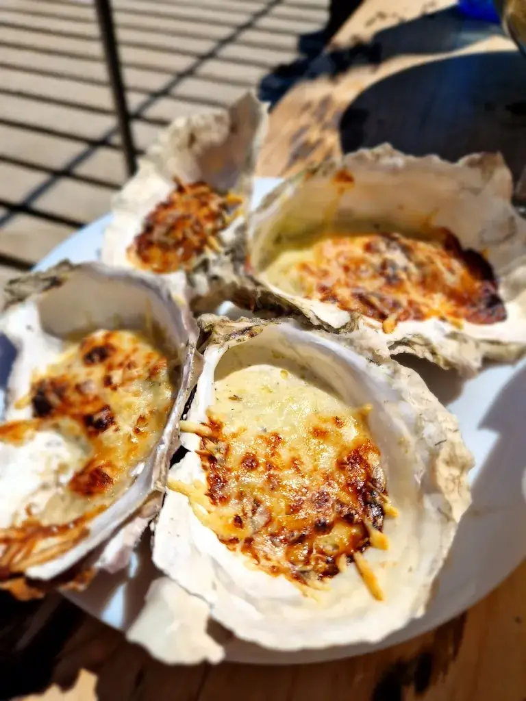 Anna Urzedowska_Le mazet de thau_Loupian_recensione