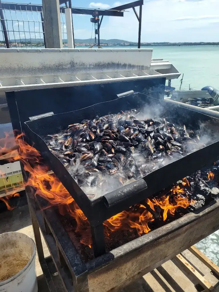 Le mazet de thau_Loupian_slider_image_3