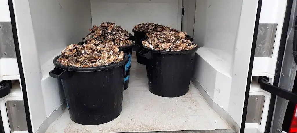 Menu_Bouzigues_Bouzigues_image_5