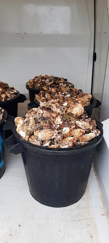 Menu_Bouzigues_Bouzigues_image_6