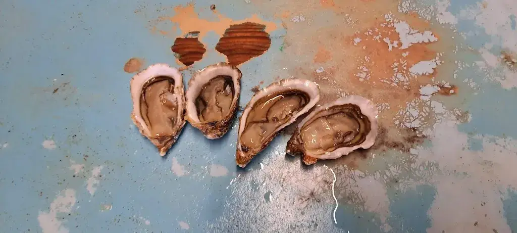 Menu_Bouzigues_Bouzigues_image_7