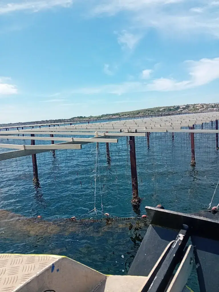 Jean-Louis Négrier_Bouzigues_Bouzigues_avis