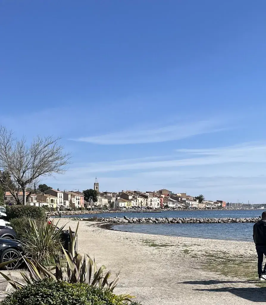 Michel Guth_Bouzigues_Bouzigues_avis