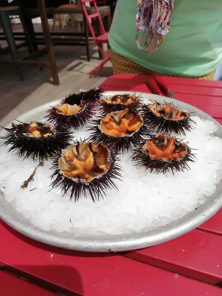 Menu_Le mas du Joep_Bouzigues_immagine_5