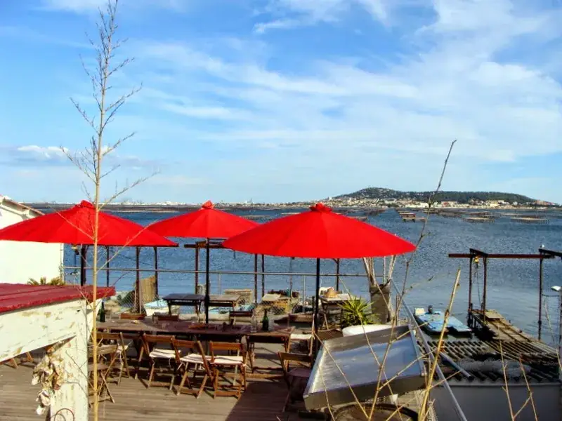 Le mas du Joep_Bouzigues_slider_image_1