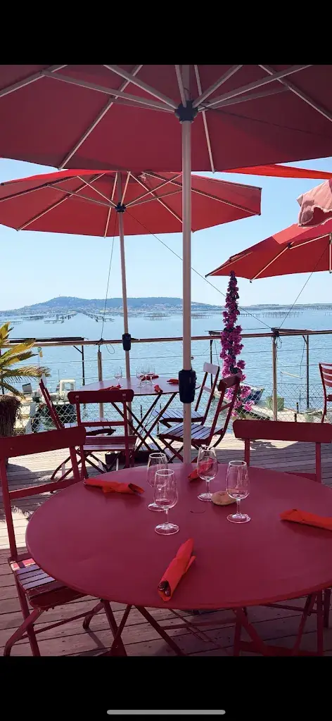 Le mas du Joep_Bouzigues_slider_image_3