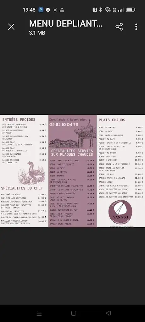 Menu_Yang Xi Cuisine Indochinoise_Castelnau-d'Estrétefonds_immagine_1