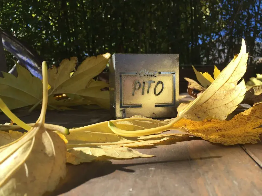 Luis Fernando Walter_Hôtel Restaurant Chez Pito_Busque_review