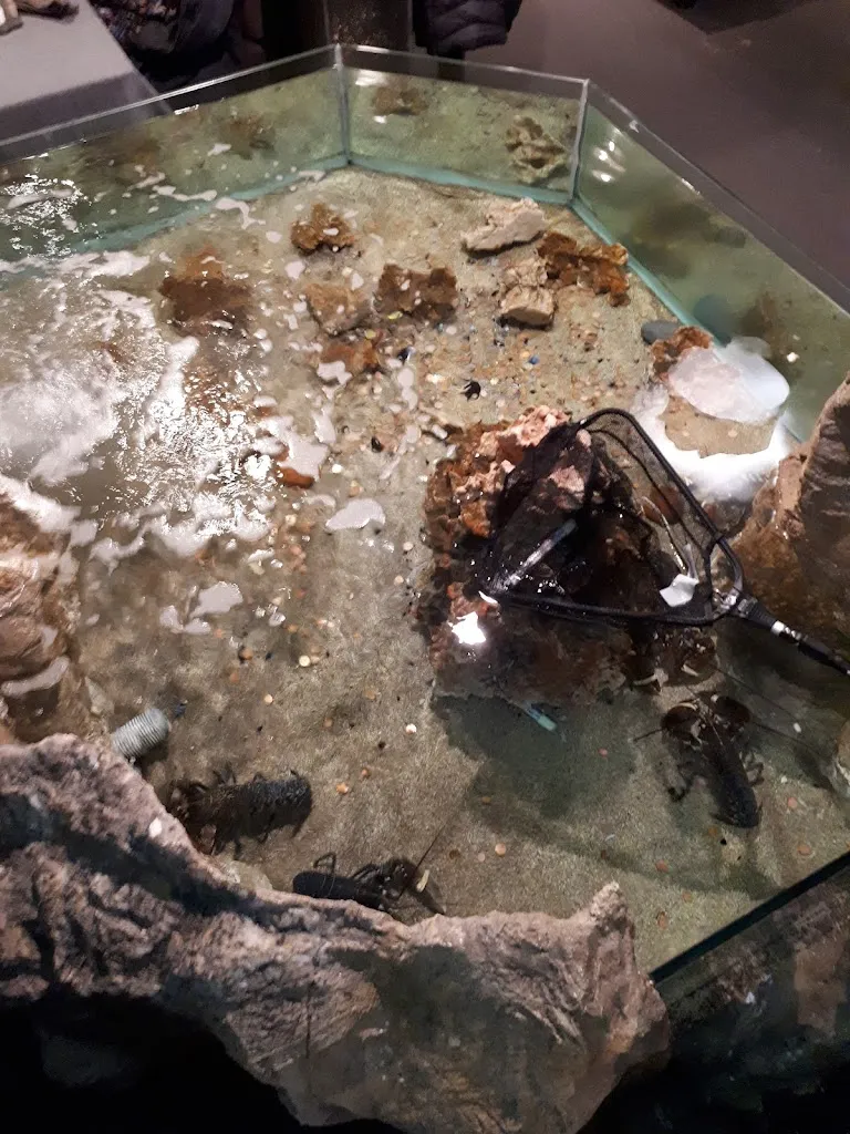 Menu_Brasserie Marso_Castres_image_9