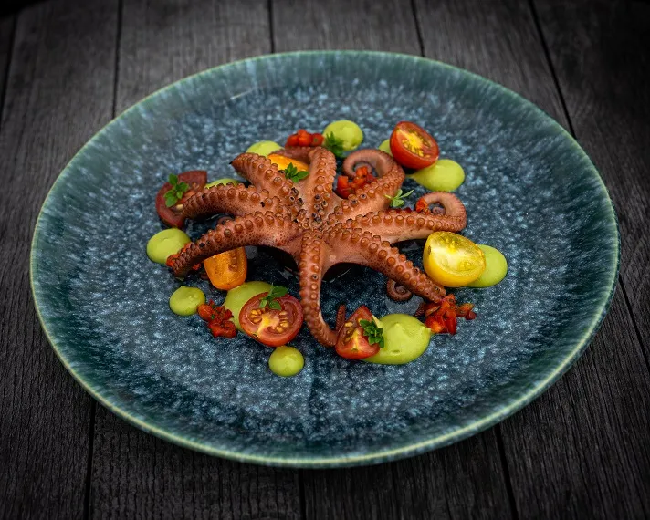 La Foganha_Castres_slider_image_3