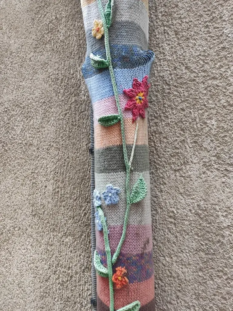 Giovanni Pollarolo_Champs du Sud_Castres_review