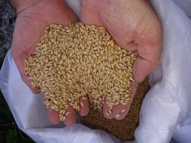 Menu_Brasserie KOS et KERCY Mas du Verdier - Cajarc_Cajarc_image_5