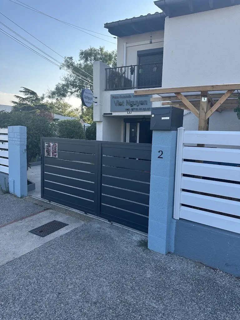 Nicolas Bricks_VIET NGUYEN - PLAT CUISINÉS VIETNAMIEN_Cabestany_review