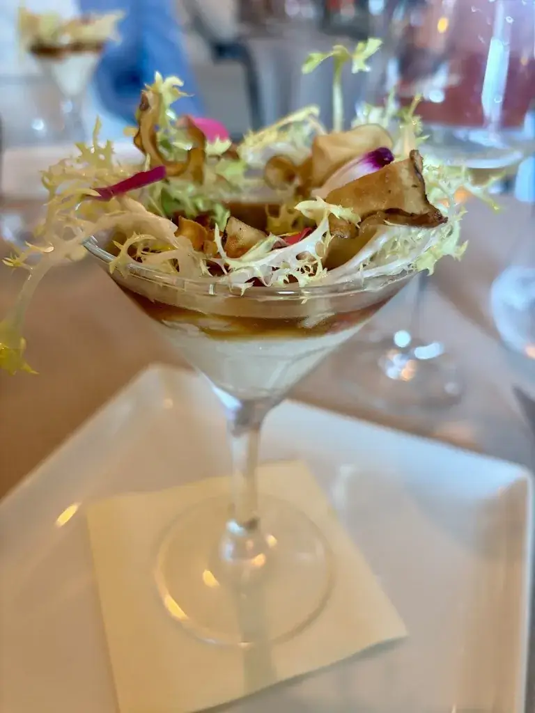 Paulien Van De Beek_L'ABSIX_Saleilles_recensione