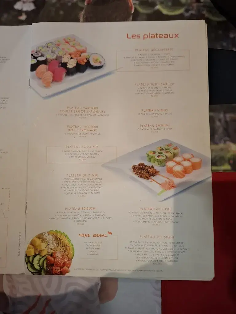 Menu_Sushi Sakura Perpignan sud_Cabestany_immagine_1