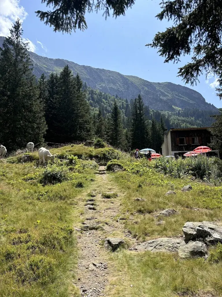 Patrick van der Meulen_Bar le taillefer_Livet-et-Gavet_review