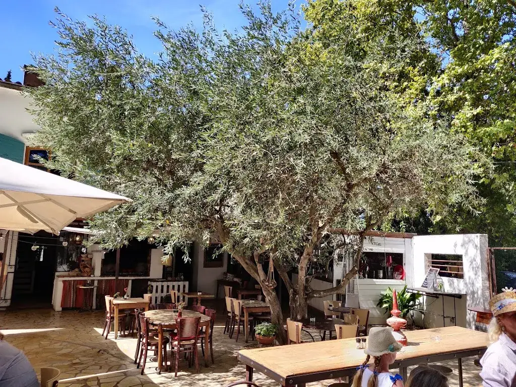 Max Matveyko_Restaurant de Grillades Le Mas Chabry_Perpignan_review