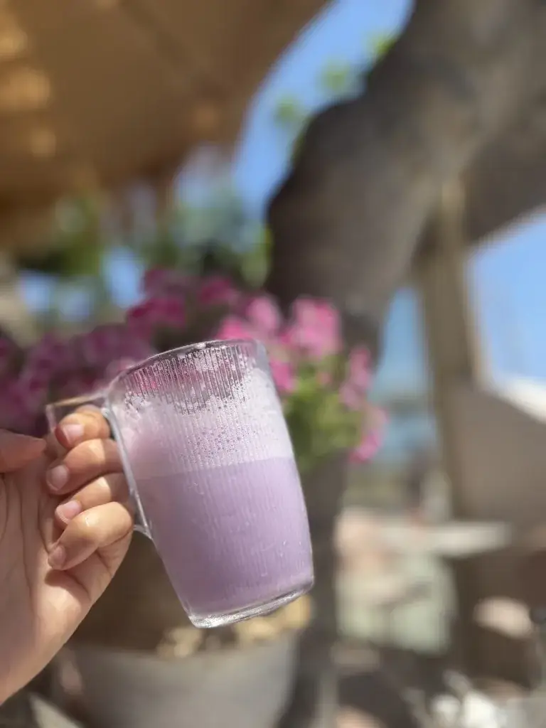 Nancy Delevoye_Dimanche_Canet-en-Roussillon_review