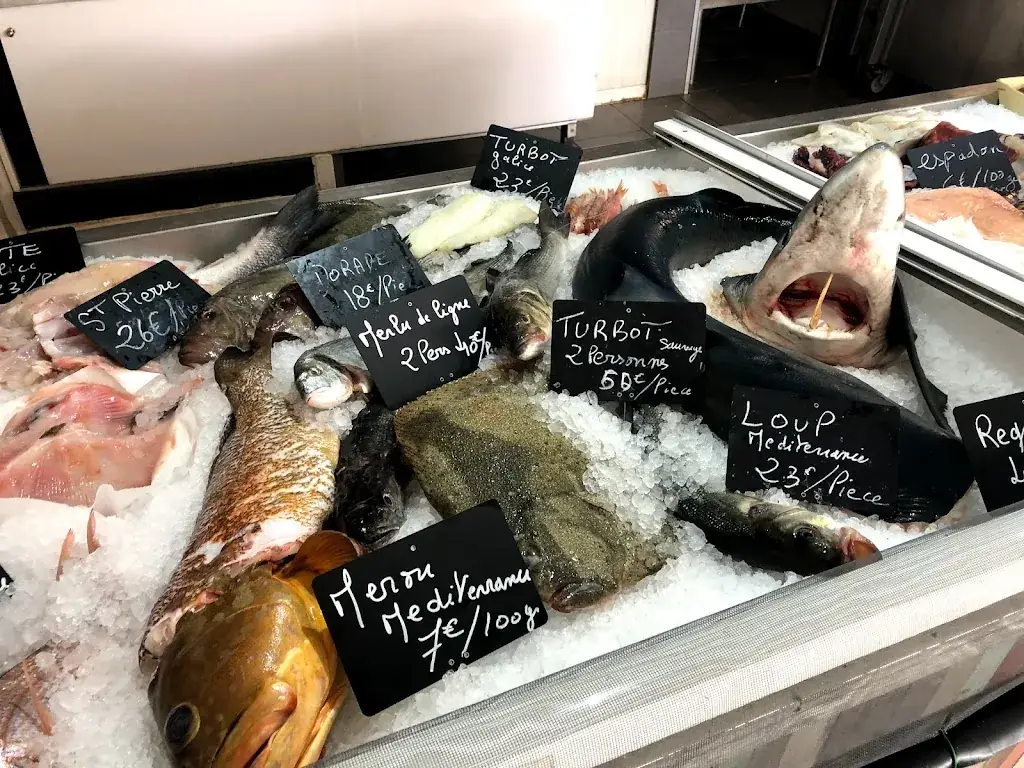 La Voile Bleue Can olivier_Canet-en-Roussillon_slider_image_3