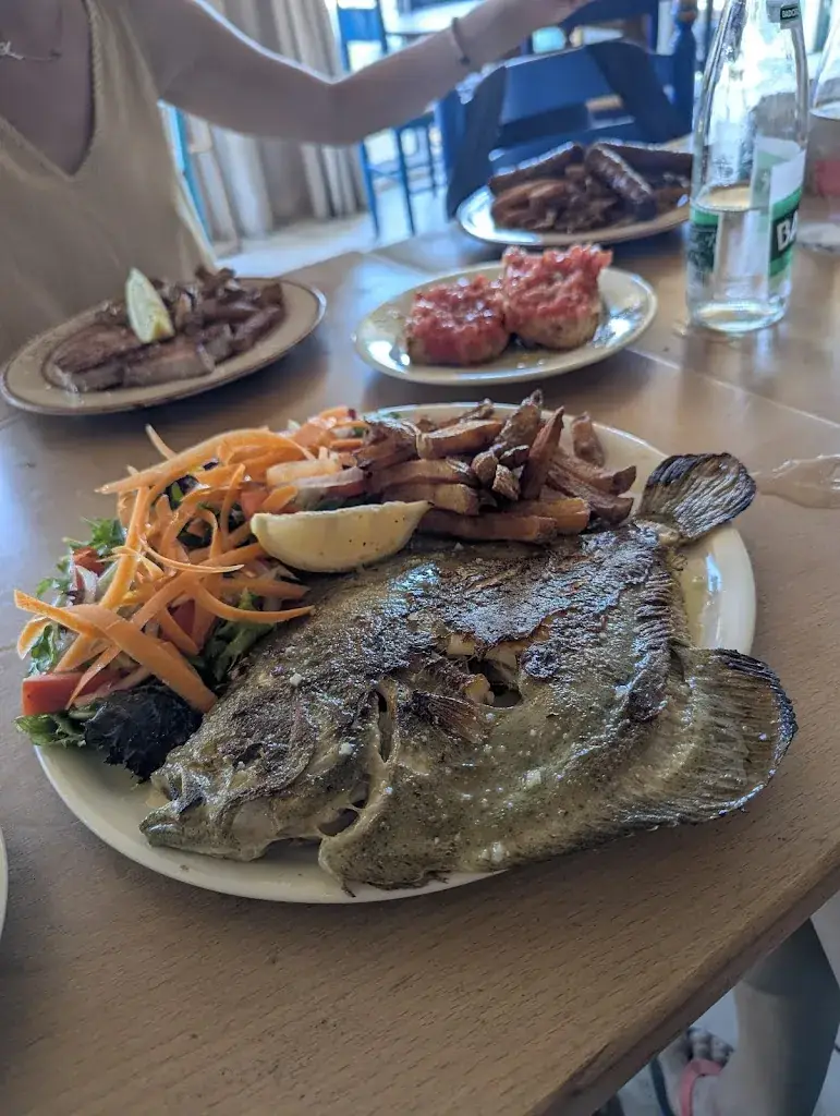 Nazih Fares_SANILS_Canet-en-Roussillon_review