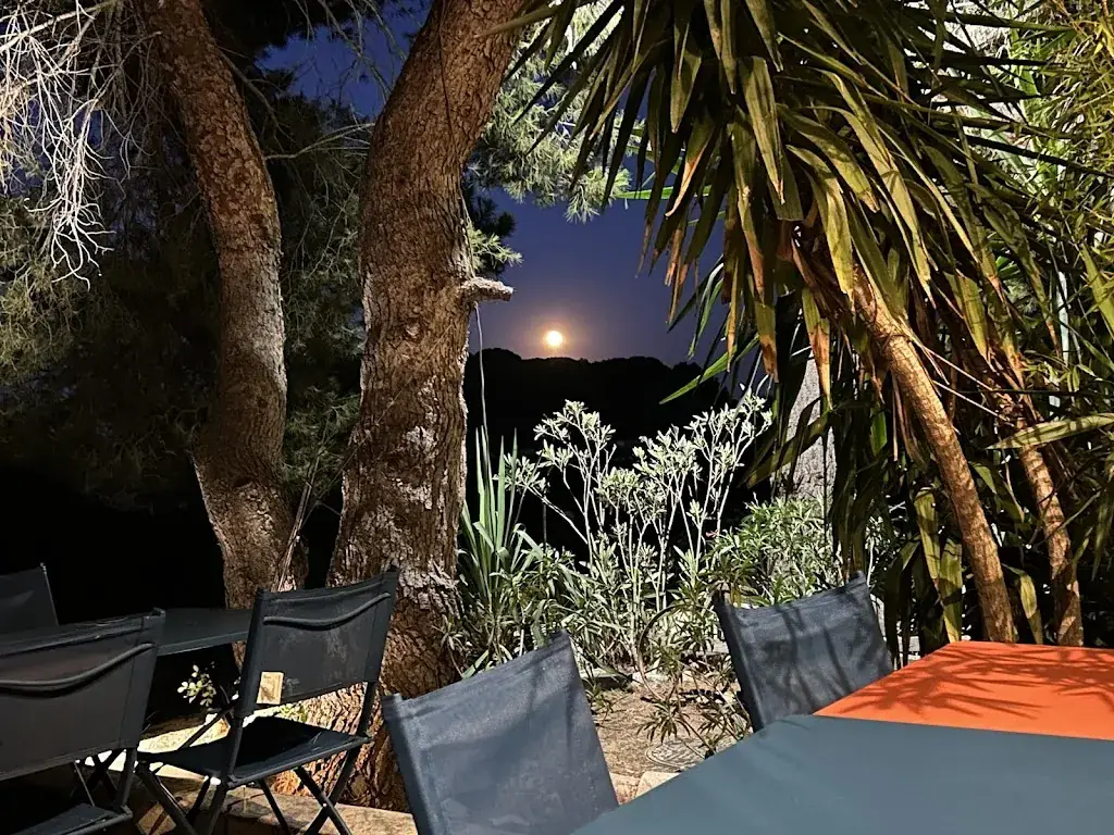 Paul Mansell_Le Pourquoi Pas_Capestang_review