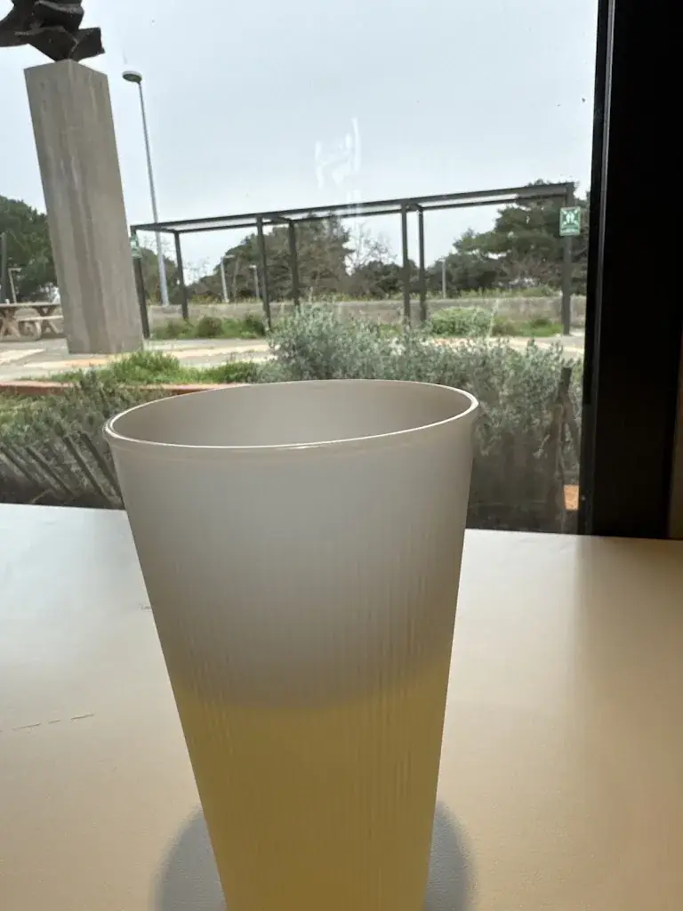 Adrian-Gabriel CHIFU_McDonald's_Capendu_recensione