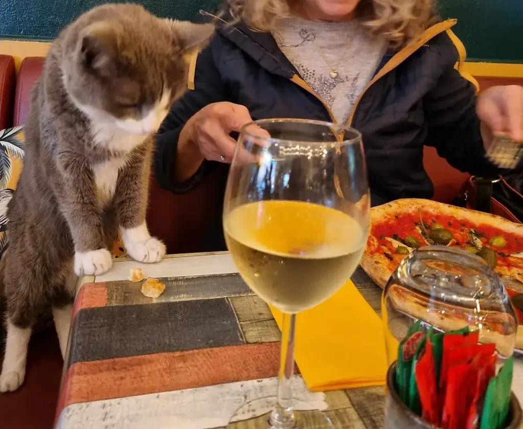 Menu_RESTAURANT PIZZERIA LA TERRASSE_Caraman_image_8