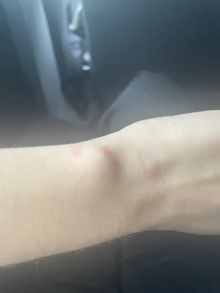 sœur mobile_Casino de Capvern_Capvern_recensione