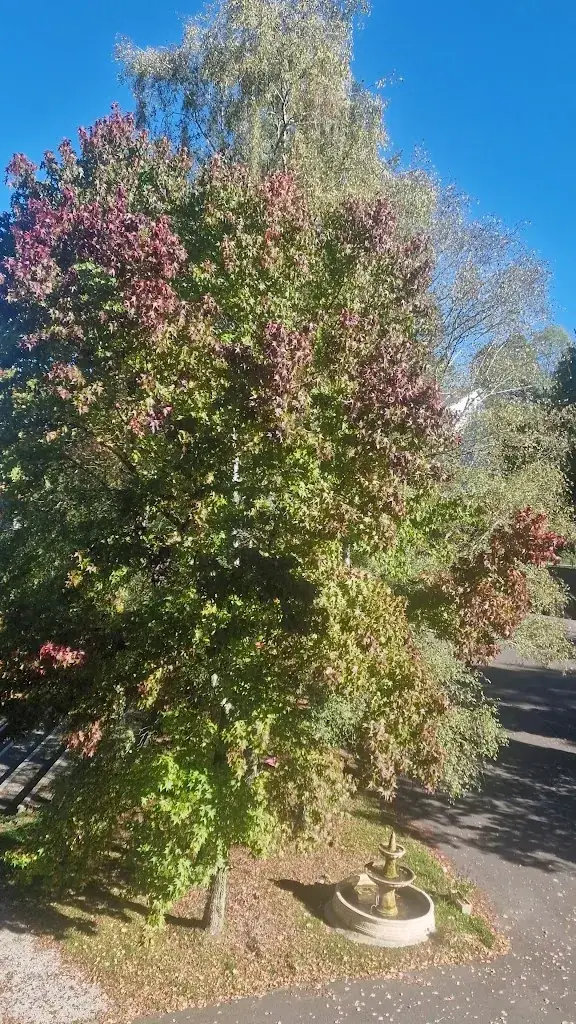 Garden City Capvern - Hotel du Laca_Capvern_slider_image_2