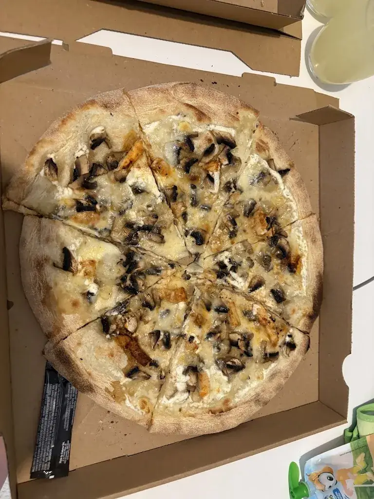 Sev Sonmez_Cöcelli_Garidech_review