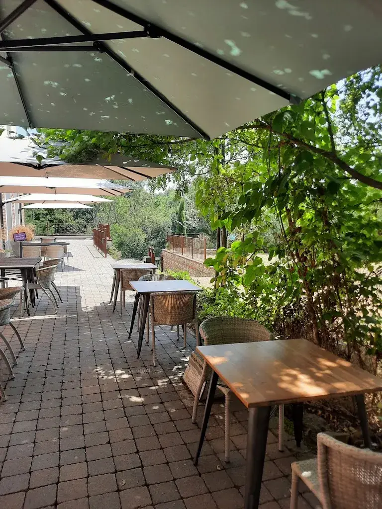 Isabelle Allende_Château de la Terrasse_Carbonne_Bewertung