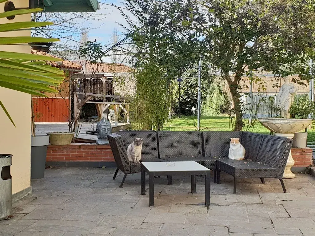 La brocante de l'olivier Restaurant in Montesquieu-Volvestre