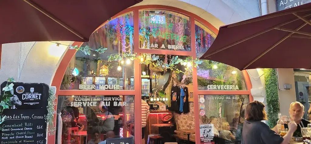 C R_Jungle Taverne_Carcassonne_review