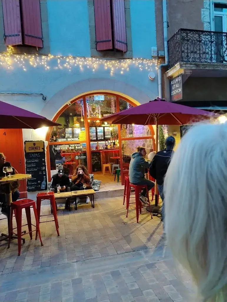 nige_Jungle Taverne_Carcassonne_review