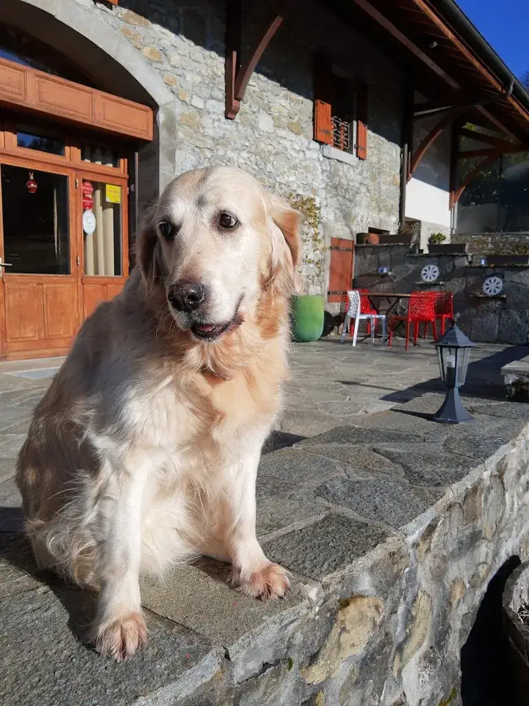 Myrthe N_Le Bonheur dans le Pré_Lucinges_review