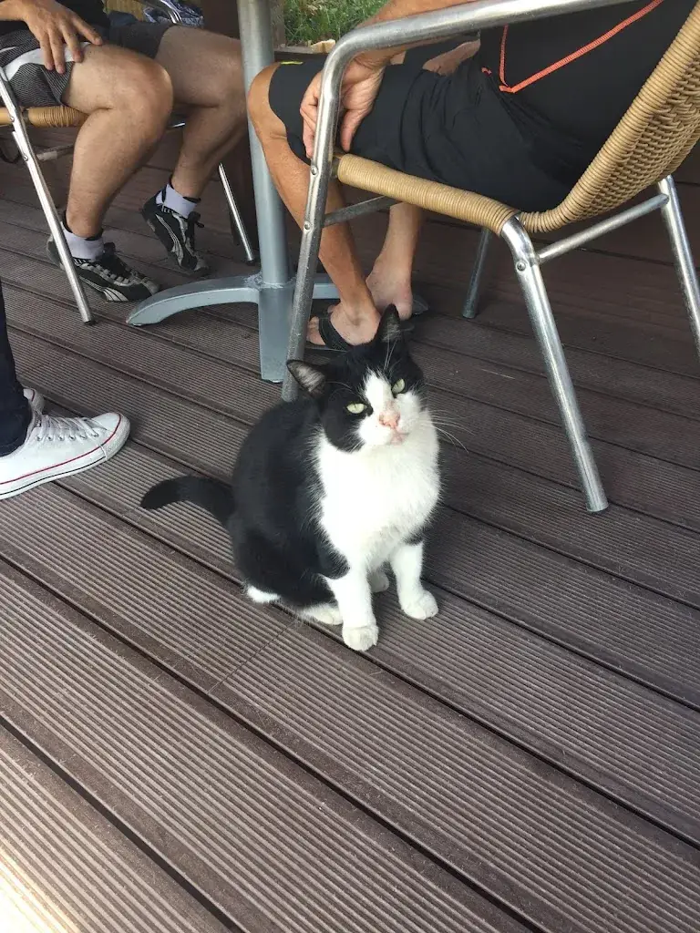 Les Quatre Filles_La Cybele_Castelnaudary_review