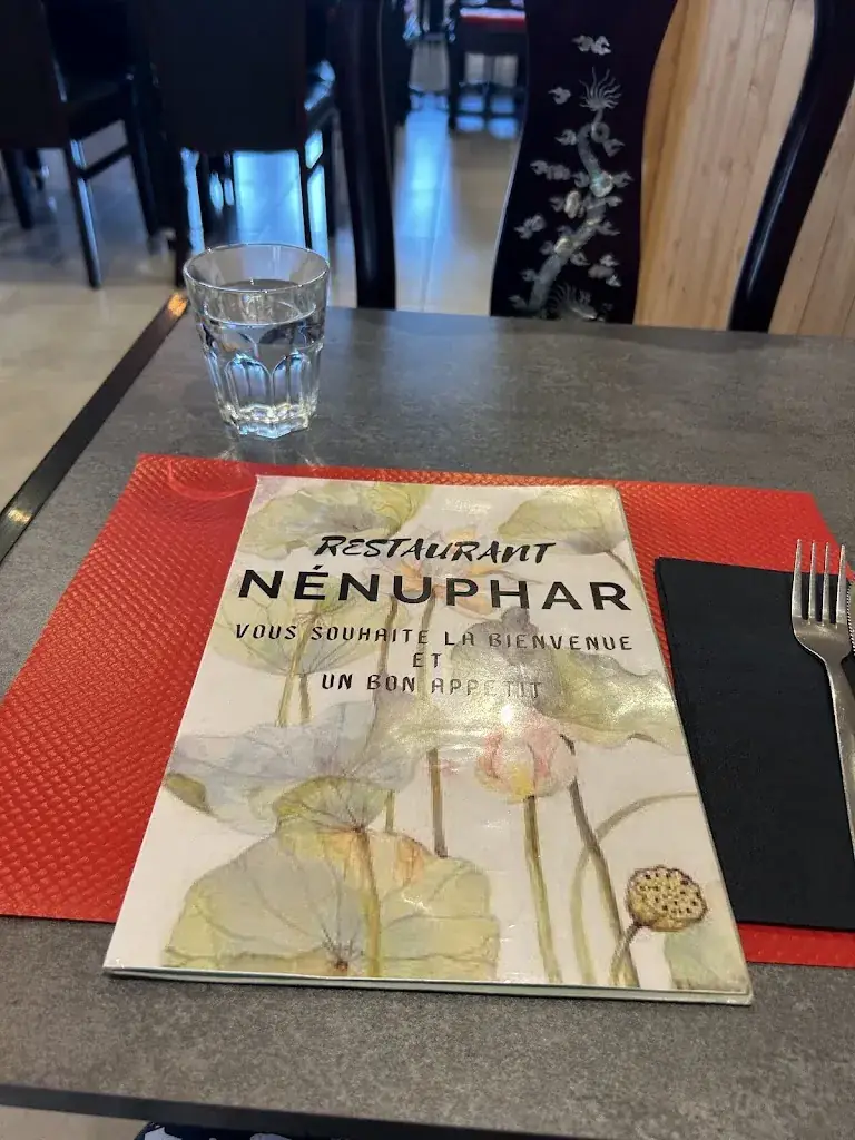Sheri Laizer_Restaurant Nénuphar_Castelnaudary_review