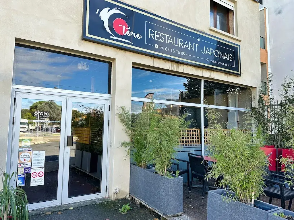Otoro - Restaurant Japonais Montpellier_Castelnau-le-Lez_slider_image_1