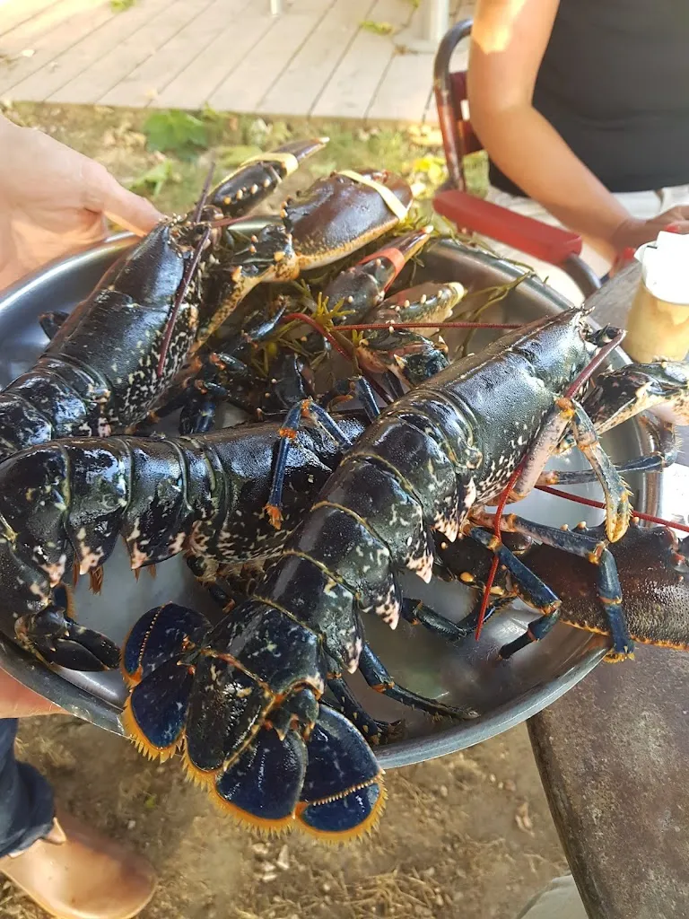 Menu_L'Huître et la Vigne_Saint-Hilaire-d'Ozilhan_image_4